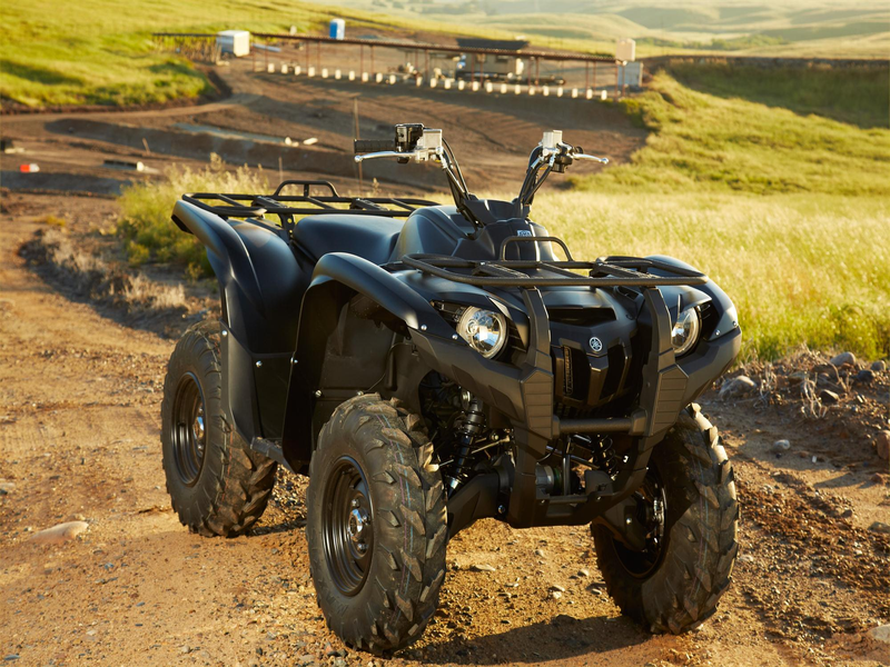 Ямаха Гризли 700. Yamaha Grizzly 700. Квадроцикл Ямаха Гризли 700. Квадроцикл Yamaha Grizzly.